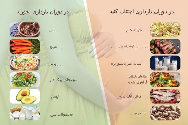 غذاهای دارای اهمیت در بارداری