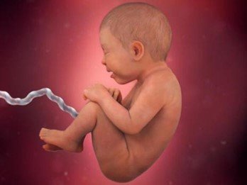 هفته های 33 تا 36 بارداری