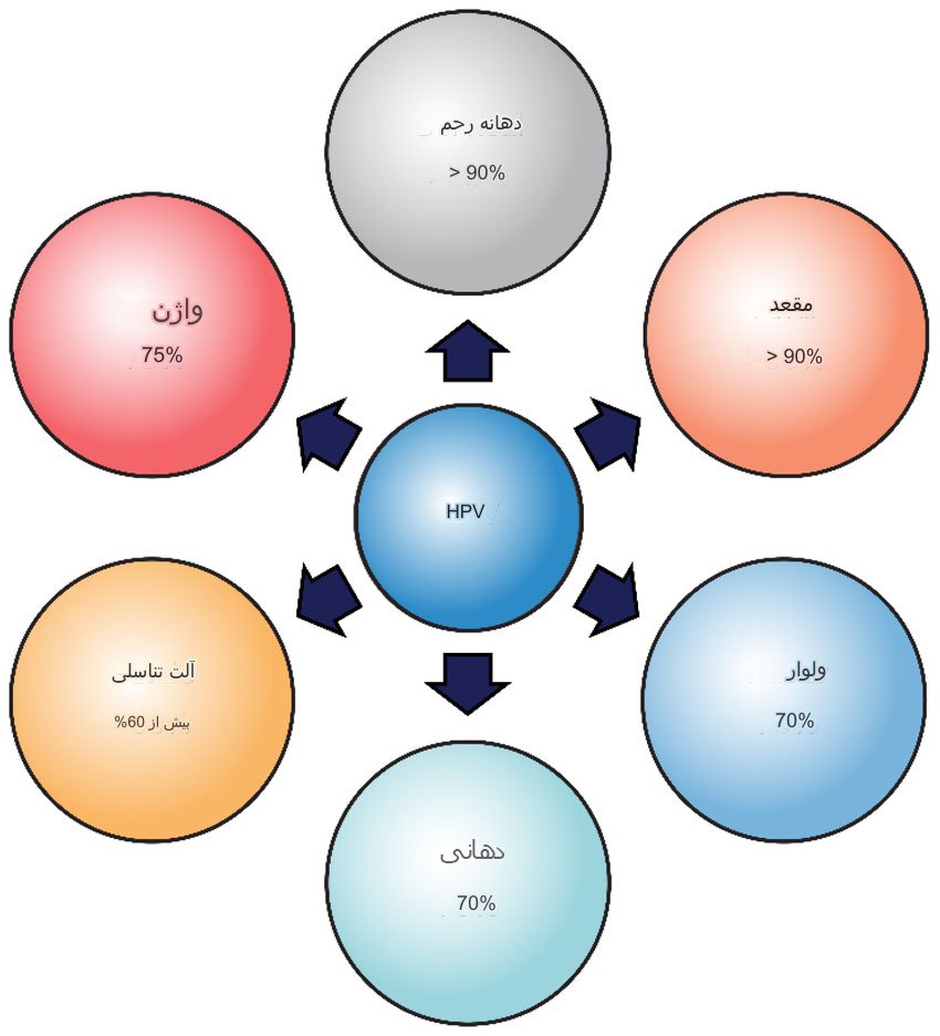 اچ پی وی و انواع سرطان