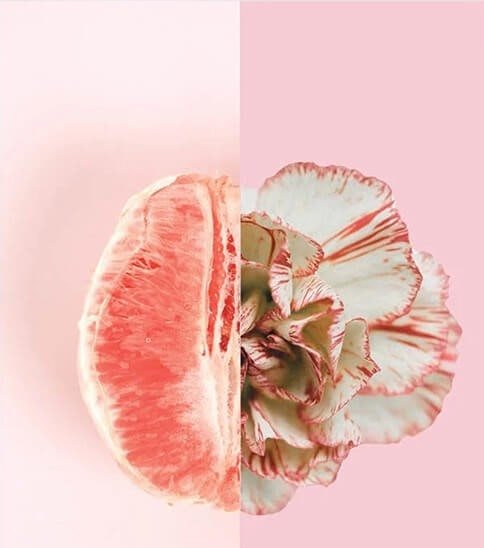 ماندگاری لابیوپلاستی