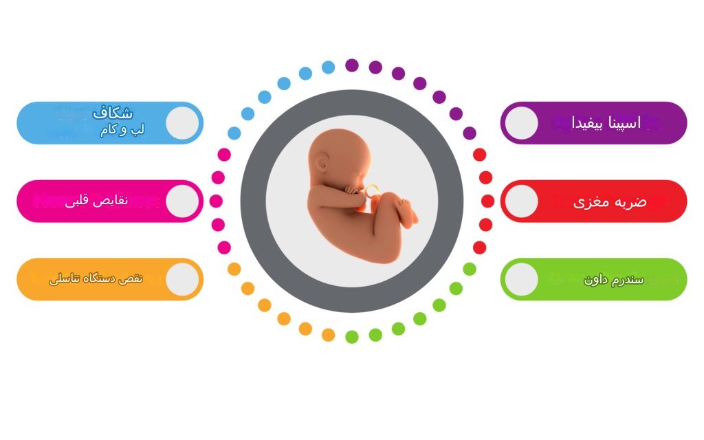 انواع نقایص جنینی