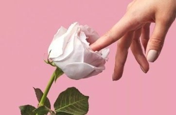 بهترین جراح زیبایی زنان در تهران